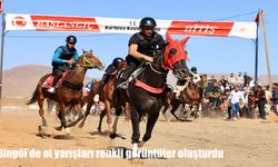Karlıova’da Toklular At Yarışları Coşkusu: Beş Kategoride Büyük Rekabet