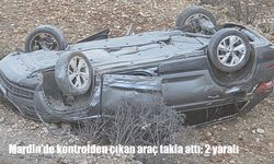 Mardin'de takla atan otomobilde 2 kişi yaralandı
