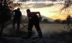 Erzincan’da çıkan anız yangını kontrol altına alındı