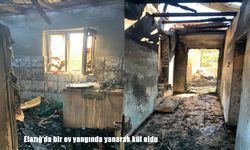 Elazığ Karakoçan’da Ev Yangını: Bir Ev Kül Oldu