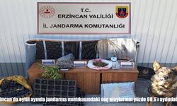 Erzincan’da Jandarmadan Suçla Mücadelede Başarı: Yüzde 98,6 Aydınlatma Oranı