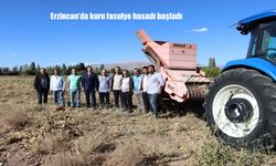 Erzincan’da Kuru Fasulye Hasadı Başladı