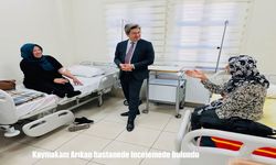 Kaymakam Arıkan, Kemaliye İlçe Hastanesinde İncelemelerde Bulundu