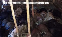 Elazığ’da Ağıla Yıldırım Düştü: 45 Küçükbaş Hayvan Telef Oldu