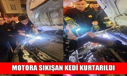 Muş’ta bir aracın motoruna sıkışan kedi kurtarıldı