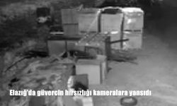 Elazığ’da kümese giren hırsız güvercinleri çaldı