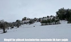 Bingöl’ün yüksek kesimlerine mevsimin ilk karı düştü