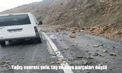 Elazığ’da yağış sonrası Palu-Beyhan yoluna taş ve kaya parçaları düştü