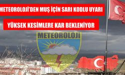 Muş için sarı kodlu sağanak ve kar yağışı uyarısı