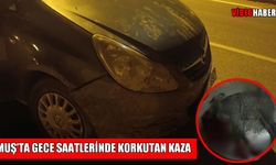 Muş’ta gece saatlerinde korkutan kaza: Otomobil domuza çarptı