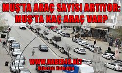 TÜİK açıkladı: Muş'ta kaç araç var?