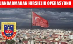 Muş’ta hırsızlık olayı jandarmanın müdahalesiyle çözüldü