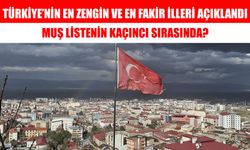 Türkiye’nin en zengin illeri açıklandı: Muş kaçıncı sırada?