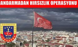 Muş’ta hayvan hırsızlığı yapan 3 kişi suçüstü yakalandı