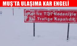 Muş’ta ulaşıma kar engeli: Hasköy–Mutki yolu kapandı