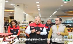 Elazığ'da gıda güvenliği denetimleri sürdürülüyor