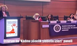 Erzurum’da "Kadına yönelik şiddetin izleri" paneli