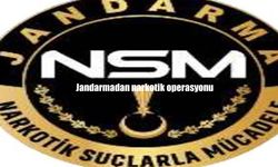 Jandarmadan narkotik operasyonu