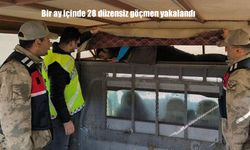Bir ay içinde 28 düzensiz göçmen yakalandı