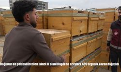 Doğunun en çok bal üretilen ikinci ili olan Bingöl'de arıcılara 435 organik kovan dağıtıldı