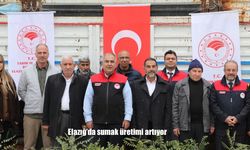 Elazığ’da sumak üretimi artıyor