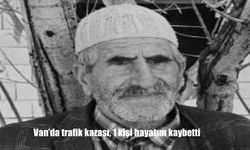 Van'da trafik kazası, 1 kişi hayatını kaybetti