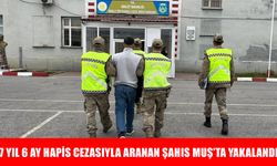 Bursa'da 7 yıl hapis cezasıyla aranan şahıs, Muş'ta yakalandı