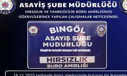 Bingöl'de hırsızlık olayının faili tutuklandı