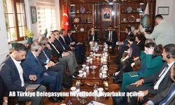 AB Türkiye Delegasyonu heyetinden Diyarbakır açılımı