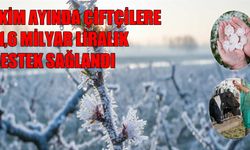 Ekim Ayında 11,6 Milyar Liralık Hasar Tazminatı Ödemesi Yapıldı