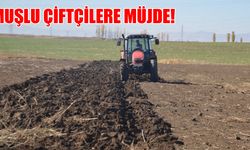 Muşlu Çiftçilere Müjde: Kasım Ayında Tohum Desteği Başlıyor!