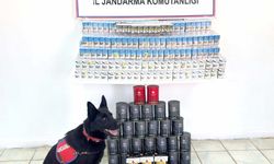 Van’da Kaçak Sigara ve Çay Operasyonu: Jandarmadan Başarılı Baskın