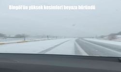 Bingöl’ün yüksek kesimleri beyaza büründü