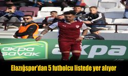 Elazığspor’dan 5 futbolcu PFDK’ya sevk edildi