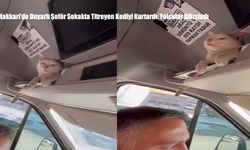 Hakkari’de Duyarlı Şoför Sokakta Titreyen Kediyi Kurtardı: Yolcular Alkışladı