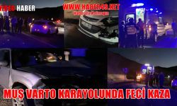 Muş-Varto karayolunda 2 otomobil çarpıştı