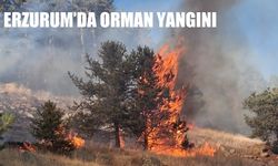 Erzurum Şenkaya’da Orman Yangını: İki Nokta Kontrol Altına Alındı