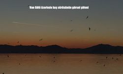 Van Gölü’nde Kuşların Muhteşem Gösterisi: Gökyüzünde Dans Eden Sürü