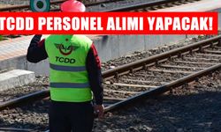 TCDD 780 İşçi Alımı Yapacak: Başvuru Şartları ve Kadrolar Açıklandı