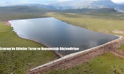 Erzurum, Gölet Yapımında Türkiye’ye Örnek Oluyor: Tarım ve Hayvancılıkta Büyük Katkı