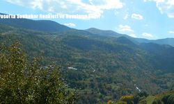 Posof’ta Sonbahar Havası Kasım Ayının Son Günlerinde Devam Ediyor