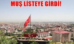 Türkiye’nin en yüksek kira getirisi sunan illeri açıklandı: Muş listeye girdi!