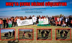 Muş'ta kurumlar el ele verdi: 100’ün üzerinde fidan toprakla buluştu