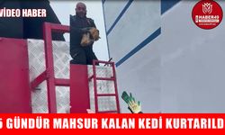 Muş’ta inşaatta 5 gün mahsur kalan kedi kurtarıldı