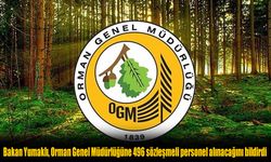 İş Arayanlara Müjde: Orman Genel Müdürlüğü 496 Sözleşmeli Personel Alıyor