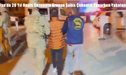 Van’da 20 Yıl Hapis Cezasıyla Aranan Şahıs Çobanlık Yaparken Yakalandı