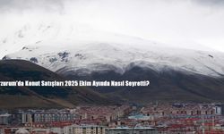 Erzurum’un Konut Satış Karnesi: Ekim 2025 Rakamları Açıklandı