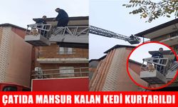 Muş’ta çatıda mahsur kalan kedi kurtarıldı