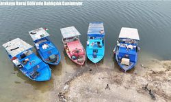 Malatya’dan Ortadoğu’ya Balık İhracatı: Denizi Olmayan Şehirde Sazan ve Diğer Türler Büyük İlgi Görüyor