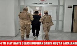 Muş’ta 4 yıl 8 ay hapis cezasıyla aranan şahıs yakalandı